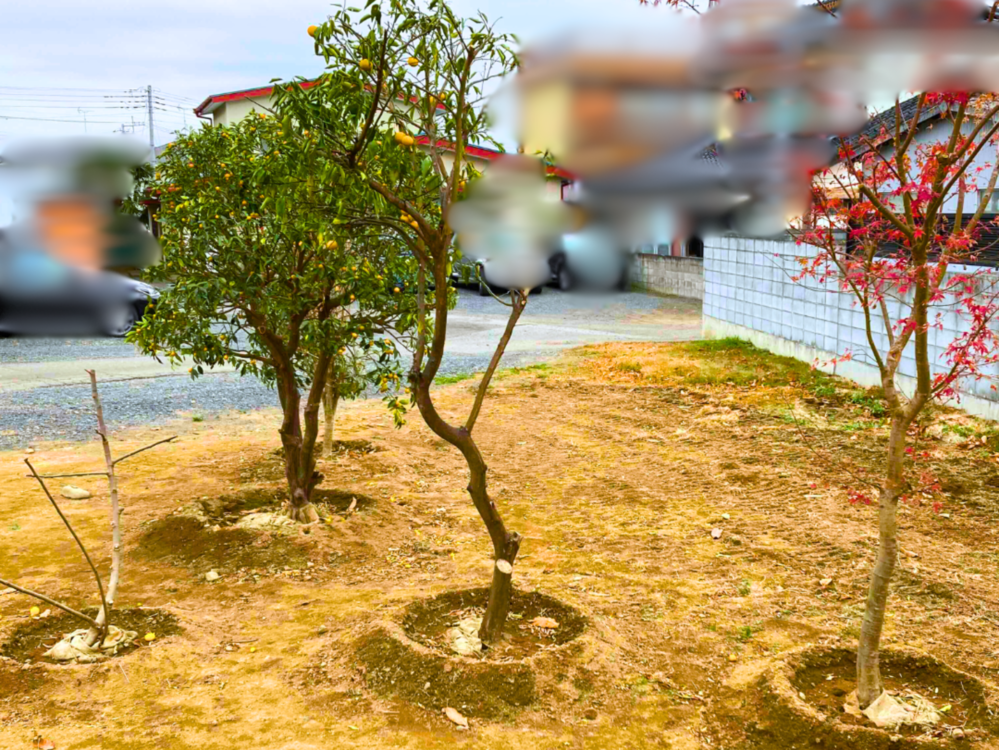 敷地内の植物のお預かり